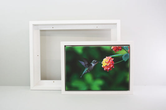 White - 40mm Deep Canvas Tray Frames.  Standard Sizes. Floating Effect Frames for Canvases. - PhotoFramesandMore - Wooden Picture Frames