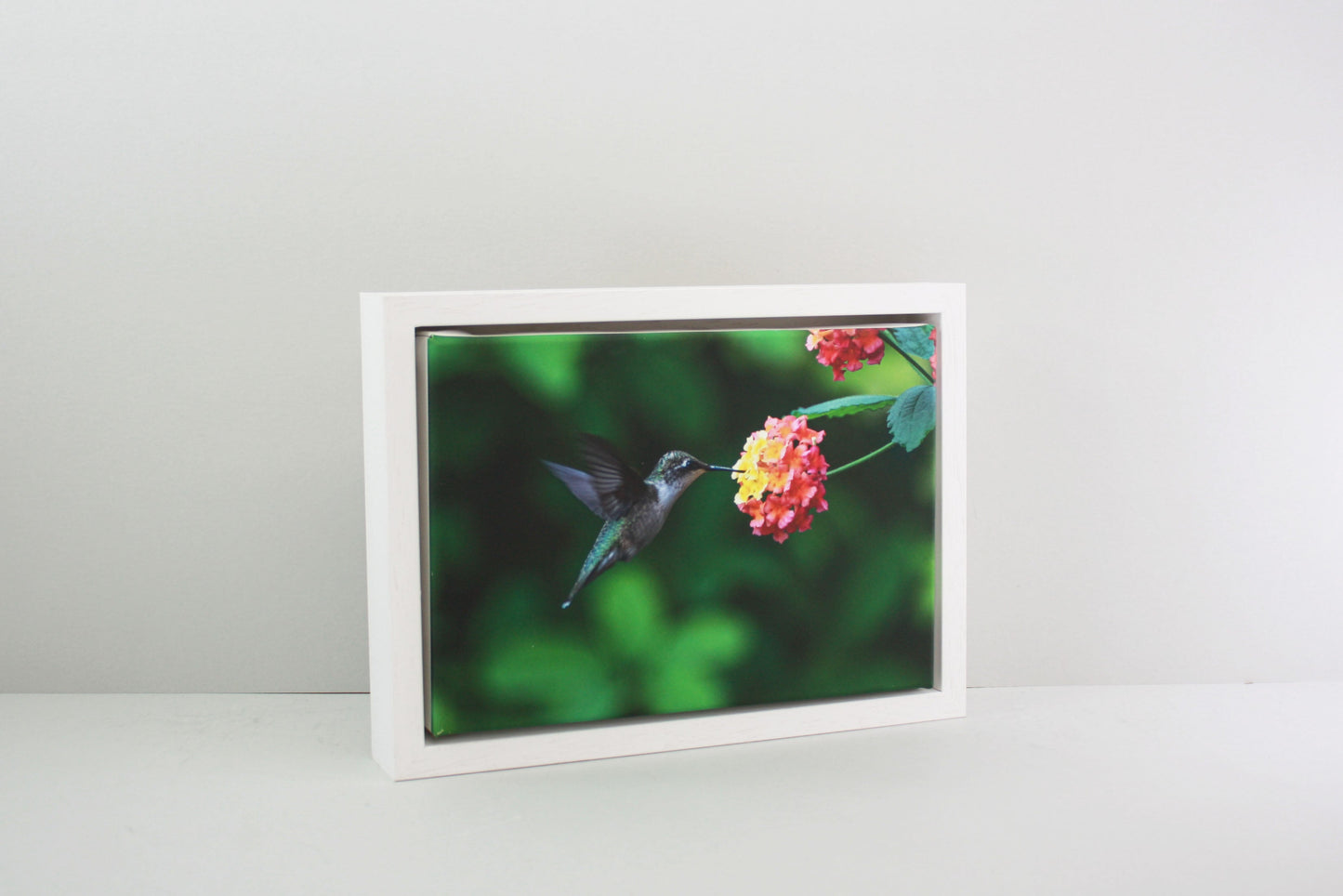 White - 40mm Deep Canvas Tray Frames. Standard Sizes. Floating Effect Frames for Canvases. - PhotoFramesandMore - Wooden Picture Frames