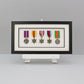 Military and Service Medal display Frame for Five Medals. 20x40cm | Service Medal | War Medal | WW1 | WW2 | Commemorative | D-Day - PhotoFramesandMore - Wooden Picture Frames