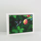 White - 40mm Deep Canvas Tray Frames.  Standard Sizes. Floating Effect Frames for Canvases. - PhotoFramesandMore - Wooden Picture Frames