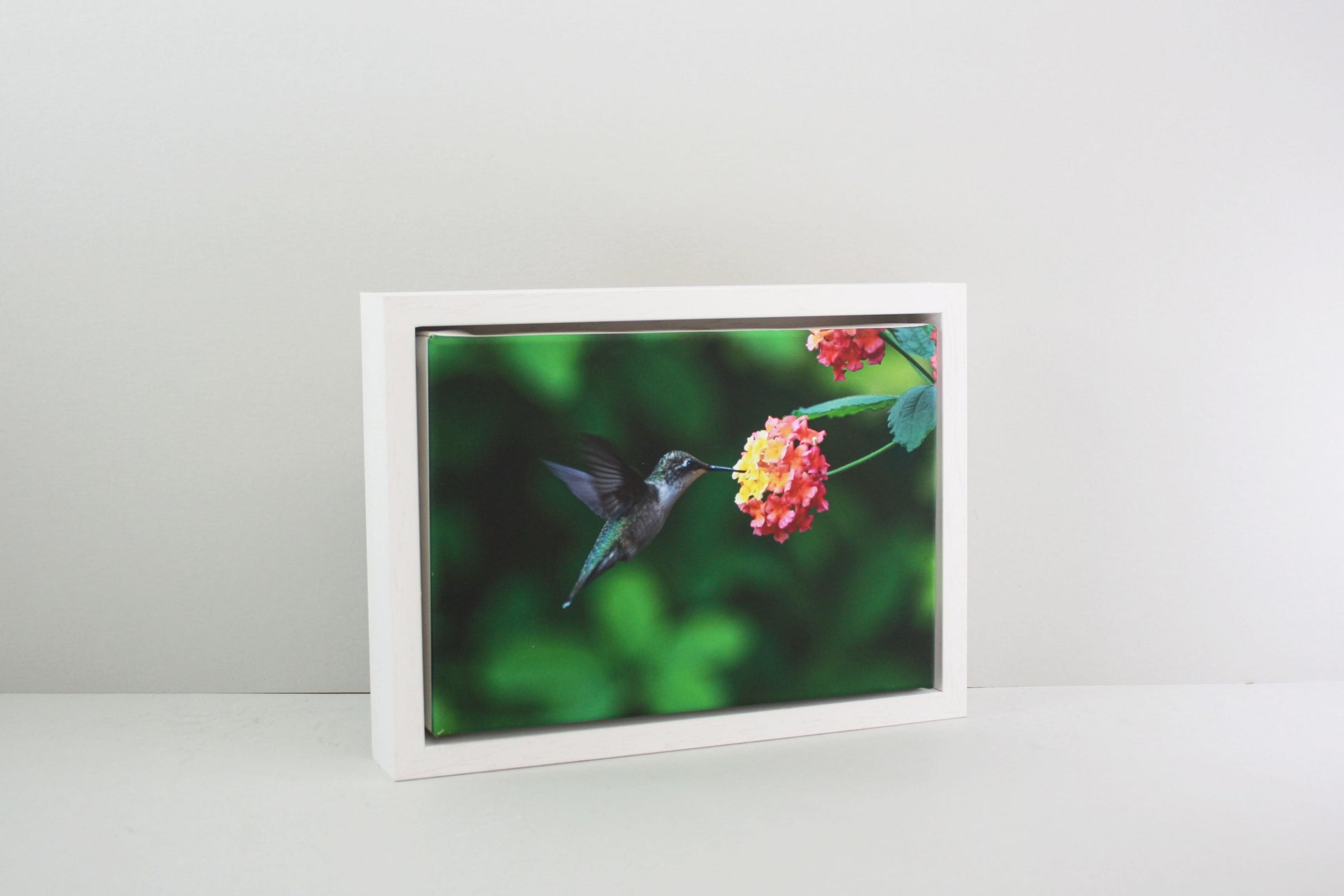 White - 40mm Deep Canvas Tray Frames.  Standard Sizes. Floating Effect Frames for Canvases. - PhotoFramesandMore - Wooden Picture Frames