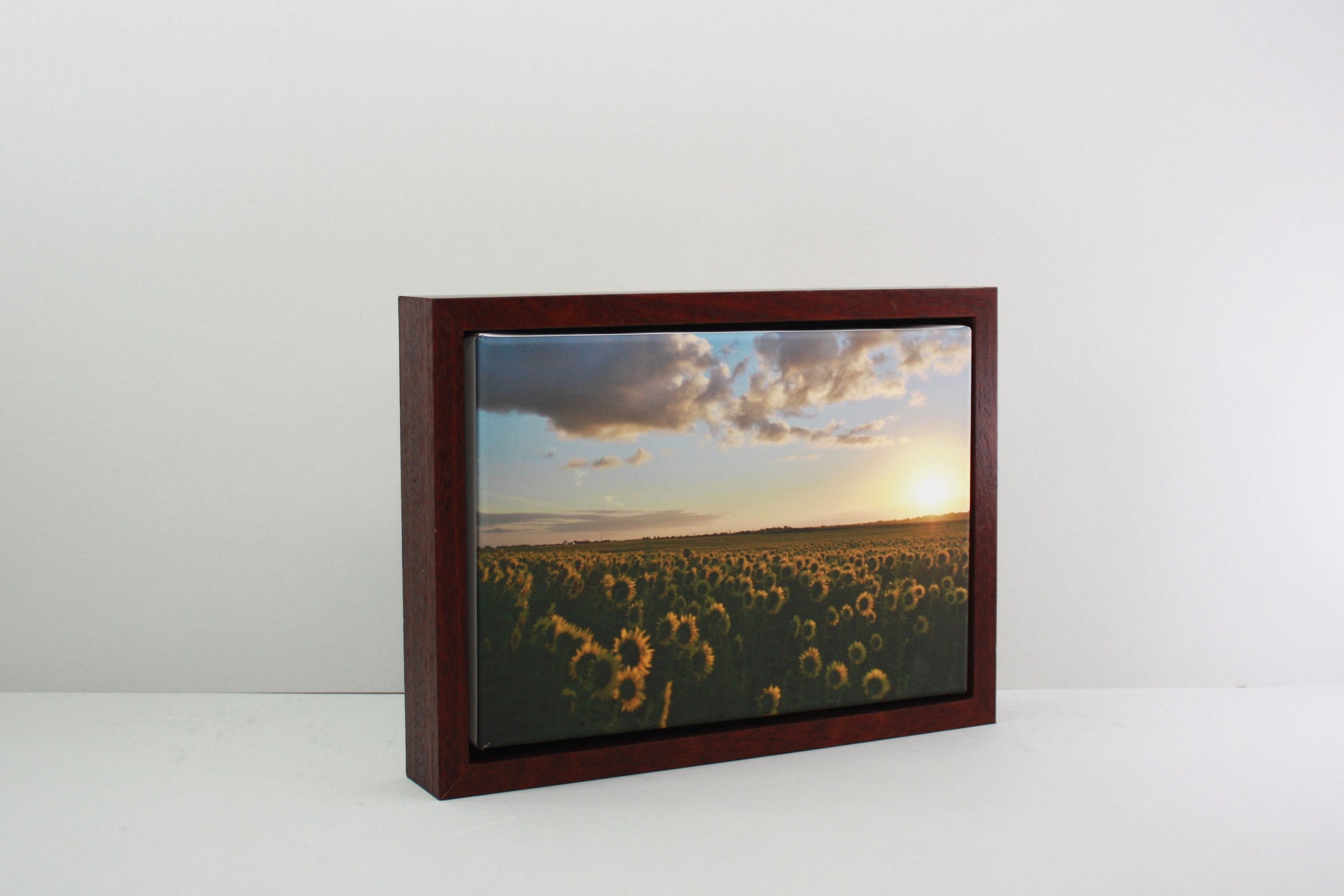 Mahogany - 40mm Deep Canvas Tray Frames.  Standard Sizes. Floating Effect Frames for Canvases. - PhotoFramesandMore - Wooden Picture Frames