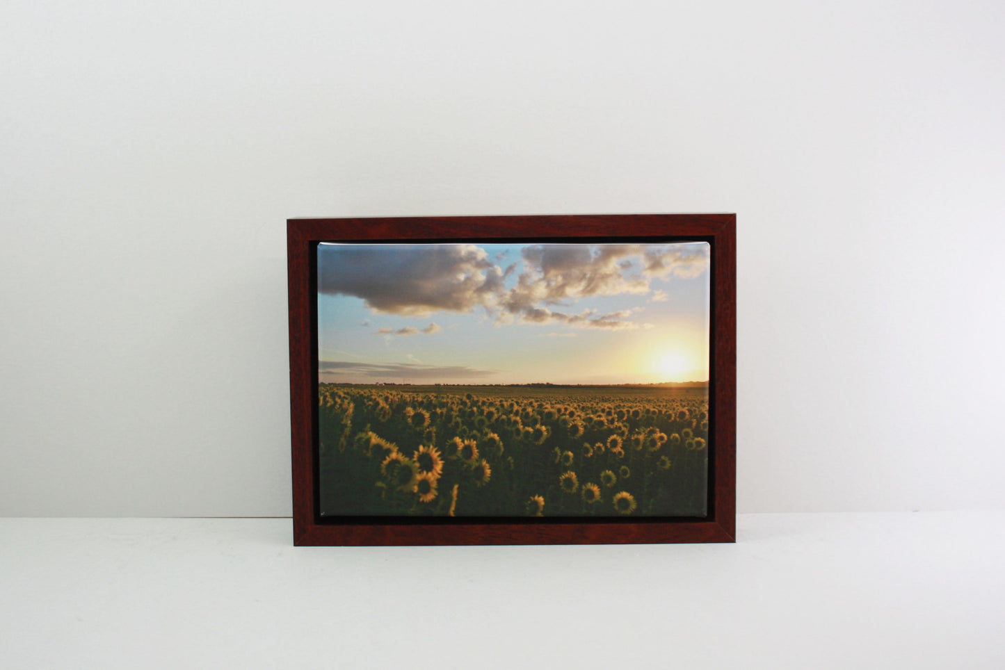 Mahogany - 40mm Deep Canvas Tray Frames.  Standard Sizes. Floating Effect Frames for Canvases. - PhotoFramesandMore - Wooden Picture Frames