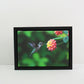 Black - 40mm Deep Canvas Tray Frames.  Standard Sizes. Floating Effect Frames for Canvases. - PhotoFramesandMore - Wooden Picture Frames