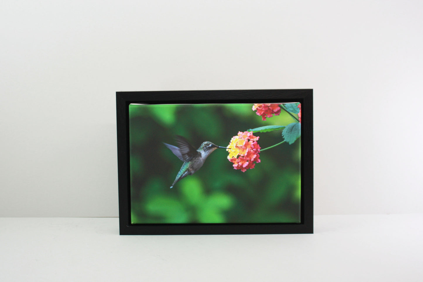 Black - 40mm Deep Canvas Tray Frames.  Standard Sizes. Floating Effect Frames for Canvases. - PhotoFramesandMore - Wooden Picture Frames