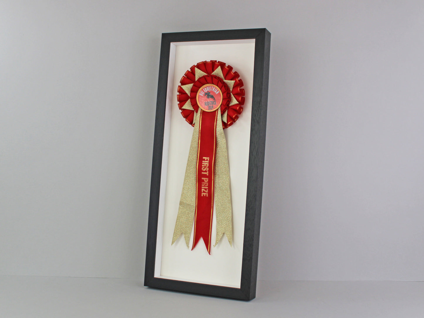 Rosette Display Frame. 20x50. Suits one Rosette. Horse Competitions. Dog Shows. Agricultural Shows.