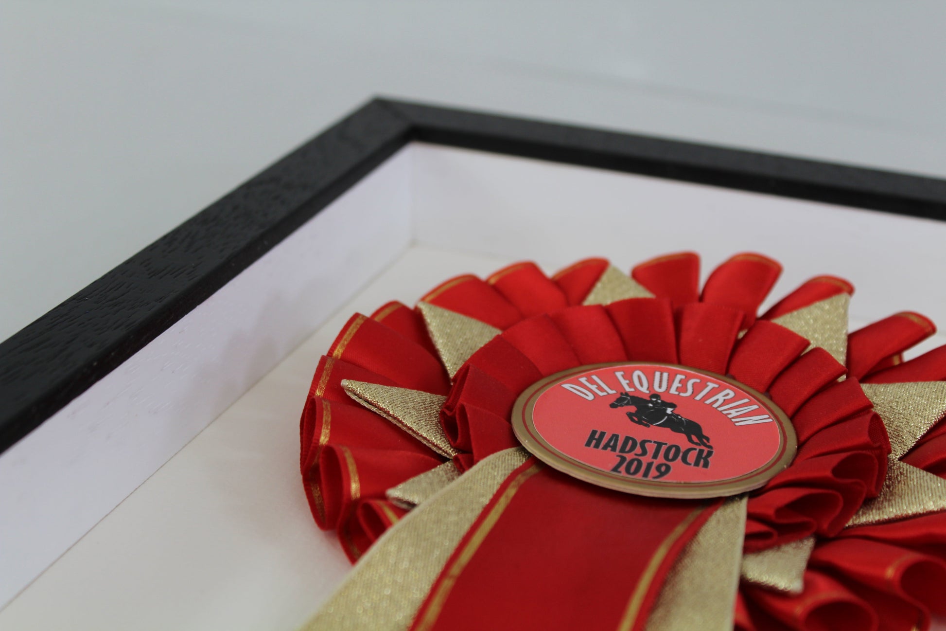 Personalised Rosette Display Frame. 20x50. Suits one Rosette with text box. - PhotoFramesandMore - Wooden Picture Frames