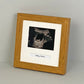 Baby Scan Photo Frame - Multi aperture Frame for Scan sized Photo and Text Box.